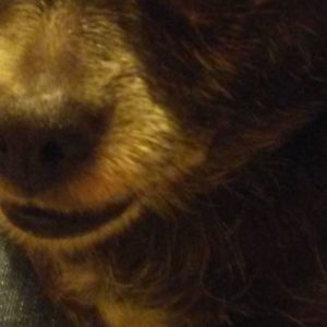 Meet your Posher, Steve